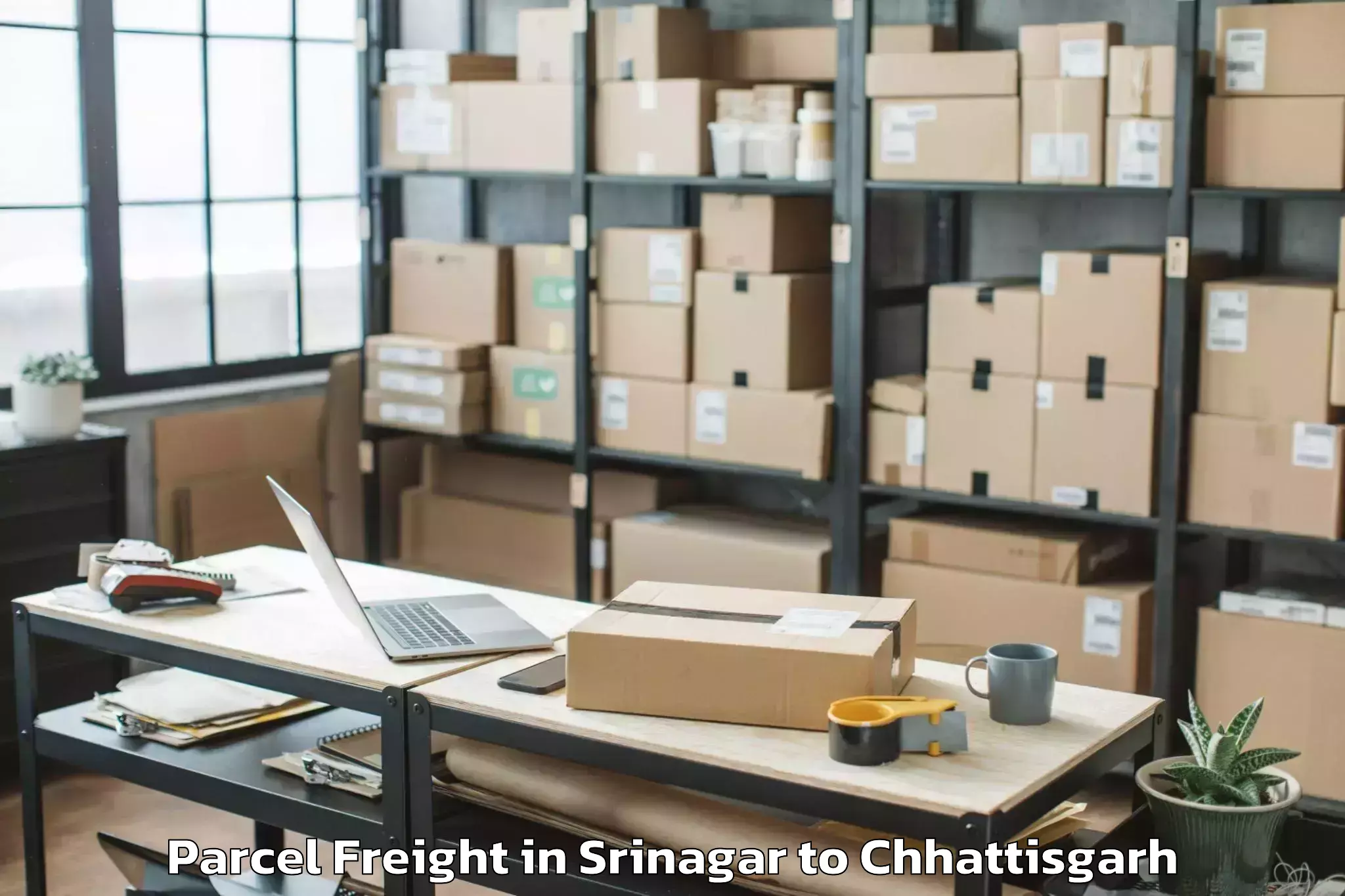 Get Srinagar to Udaipur Dharamjaigarh Parcel Freight